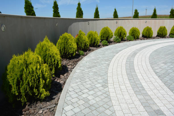 Best Custom Driveway Pavers  in Atkins, AR